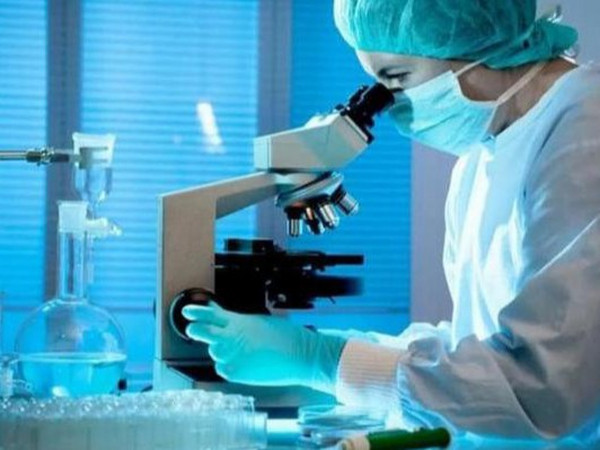 微量饲料添加剂载体的选择和使用