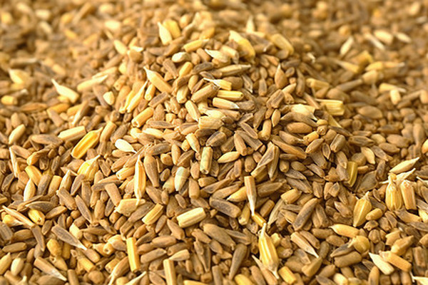 影响预混料中维生素稳定性因素——饲料加工方式